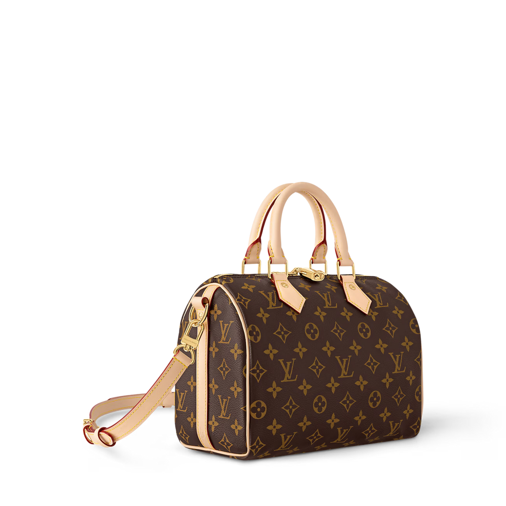 LV Bolsa Speedy Monogram