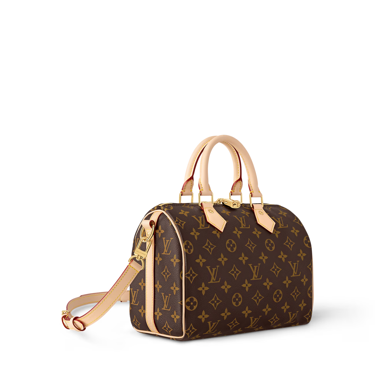 LV Bolsa Speedy Monogram